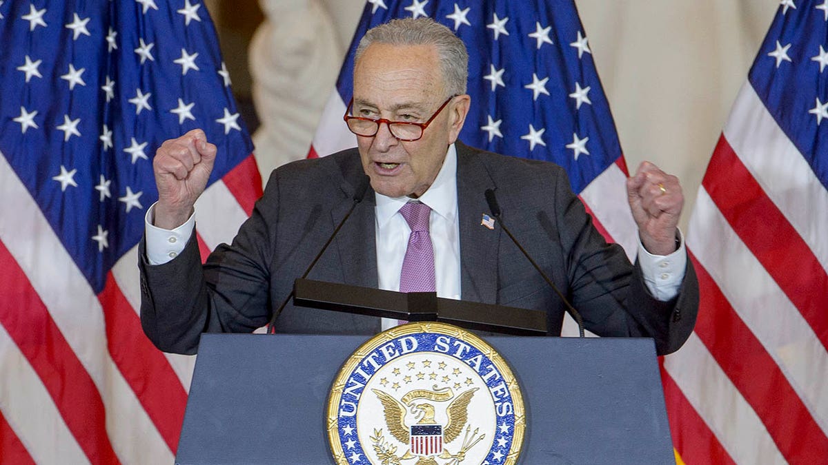 Trump argues Schumer 'made a mistake' amid Dem leader's party infighting  at george magazine