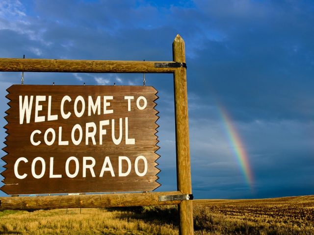 Struggling to sleep? How wildflowers helped me break the 3am worry spiral