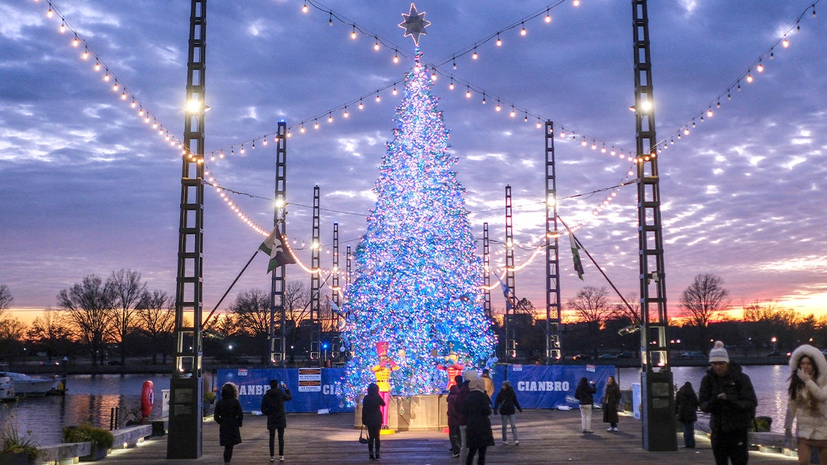 Iconic DC landmark unveils first Christmas tree as part of push to revive holiday spirit at george magazine