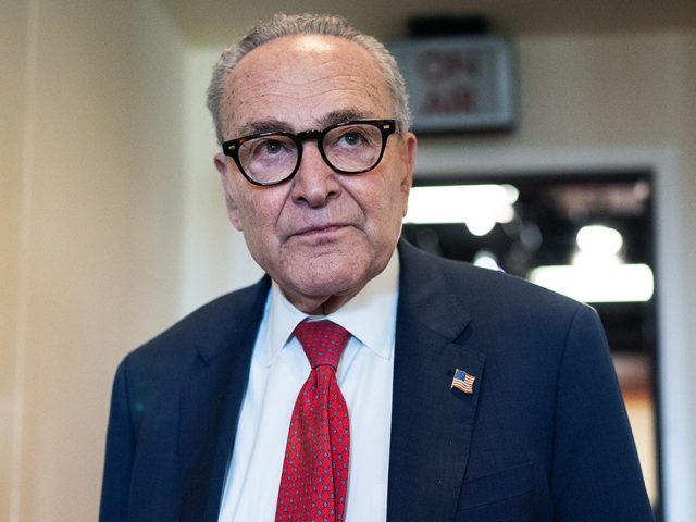 Democrats, left empty-handed in shutdown, turn fury on Schumer