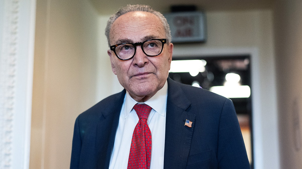 Democrats, left empty-handed in shutdown, turn fury on Schumer  at george magazine