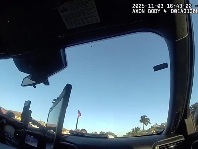 WATCH: Teen arrested after alleged wild shovel attack on police cruiser in ritzy Florida neighborhood