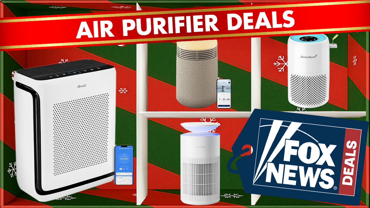 Best Black Friday air purifier deals – Up to $200 off Dyson, Levoit and more top picks  at george magazine
