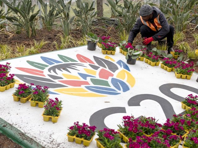 State Dept says G20 boycott tied to South Africa’s ‘government-sponsored discrimination’ against Afrikaners