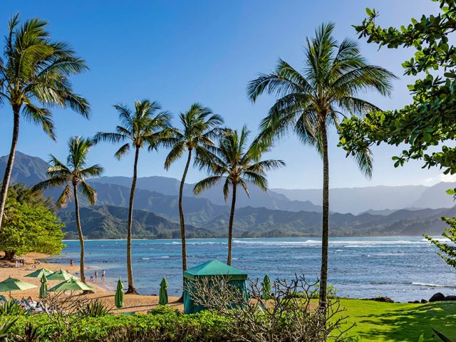 Shark attack leaves beachgoers shaken as popular tourist haven goes on alert