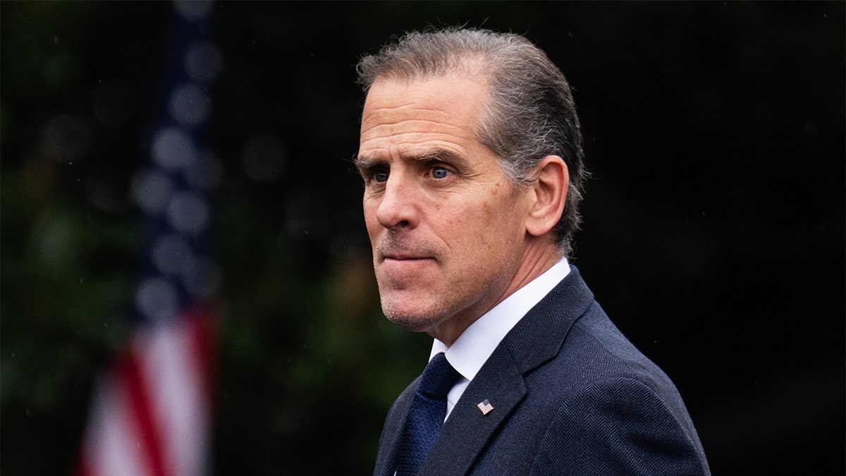 Hunter Biden urges Democrat to 'turn the temperature up' when pressed on extremism at george magazine