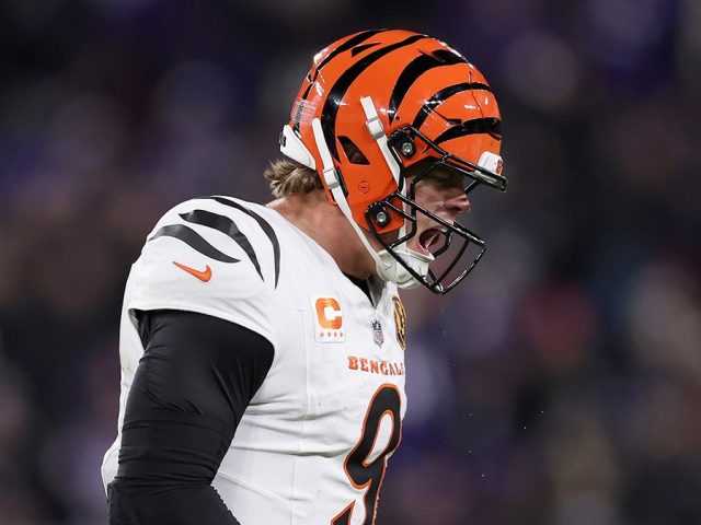 Joe Burrow shines in return as Bengals dominate Ravens on Thanksgiving night