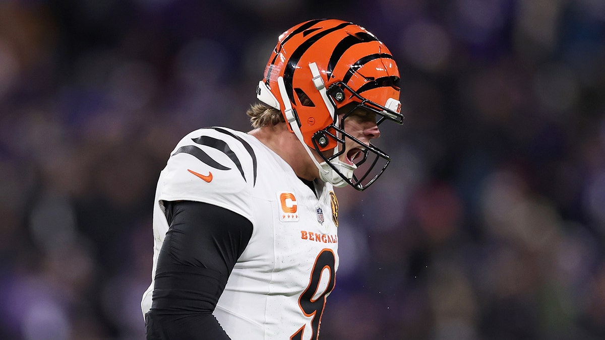 Joe Burrow shines in return as Bengals dominate Ravens on Thanksgiving night at george magazine