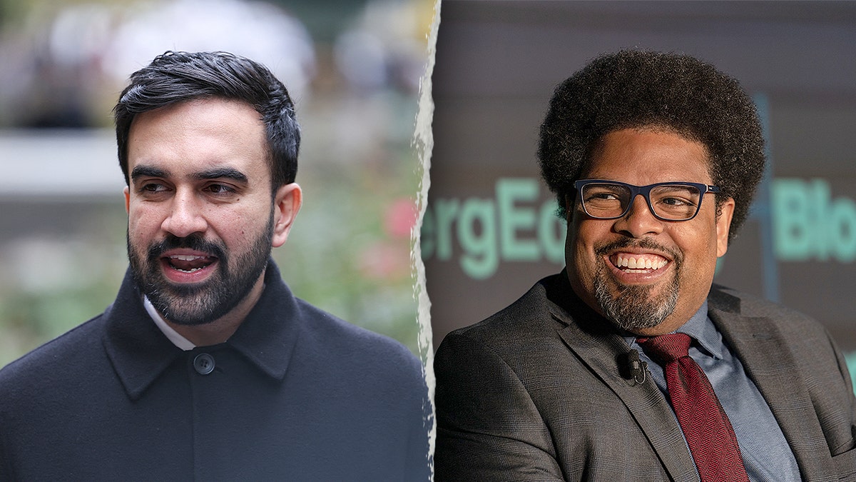 Mamdani economic advisor is reparations activist who says 'devaluation of Black lives' ingrained in US system  at george magazine