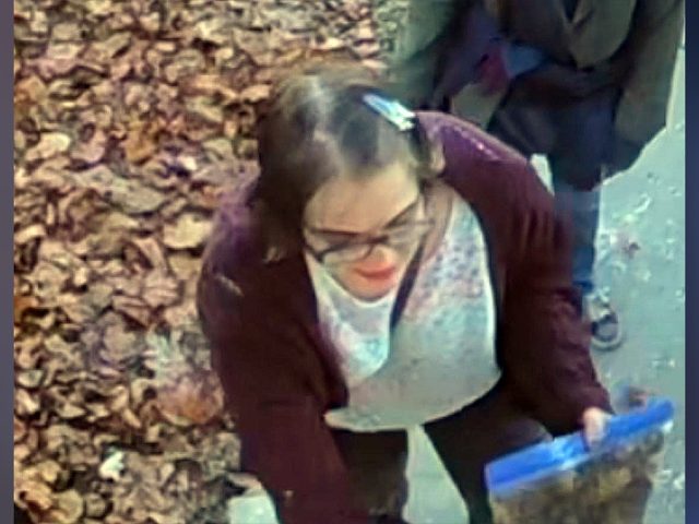 Manhunt launched for convicted ‘Slender Man’ stabber who cut off monitoring bracelet and fled facility