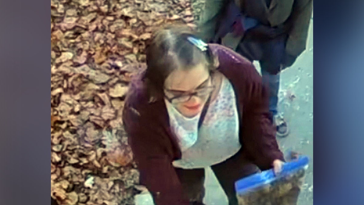 ‘Slender Man’ stabber’s escape proves she ‘should never have been released,’ expert says  at george magazine