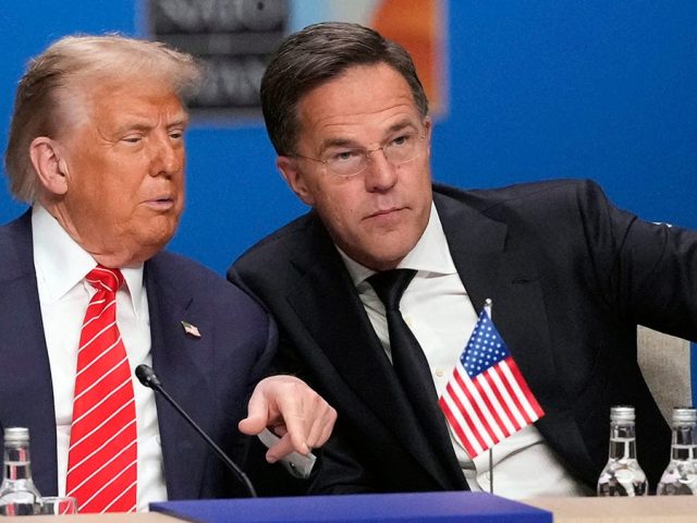 NATO chief ‘sure’ Trump’s Ukraine-Russia peace plan will succeed despite ‘difficult’ talks