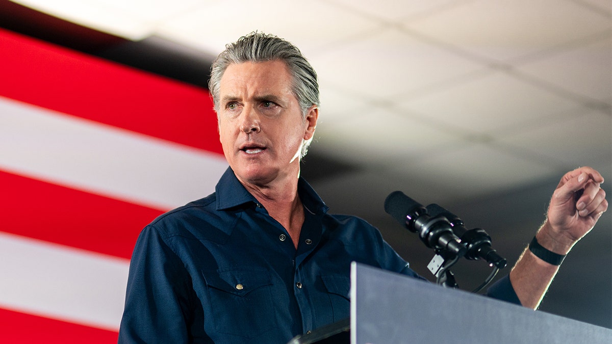 Gavin Newsom tells Democrats they 'walked away' from masculinity crisis impacting men and boys at george magazine