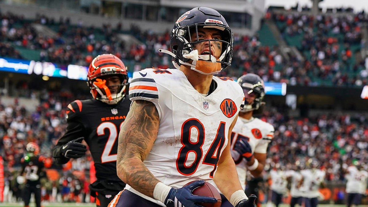 Bears' Colston Loveland bounces off 2 defenders to score clutch TD for win over Bengals  at george magazine