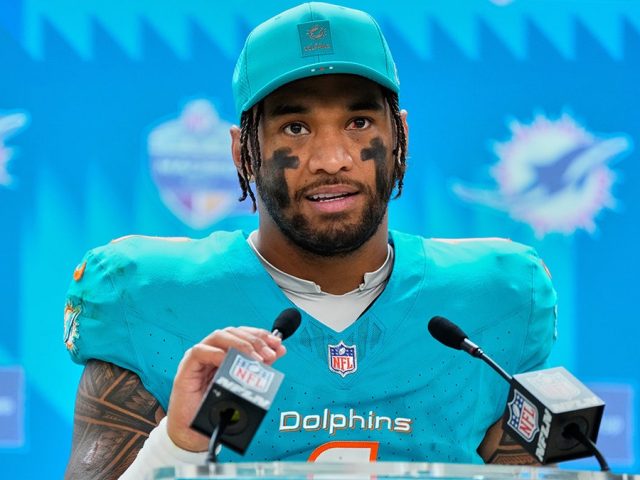 Dolphins star pitches Jerusalem for possible NFL international game