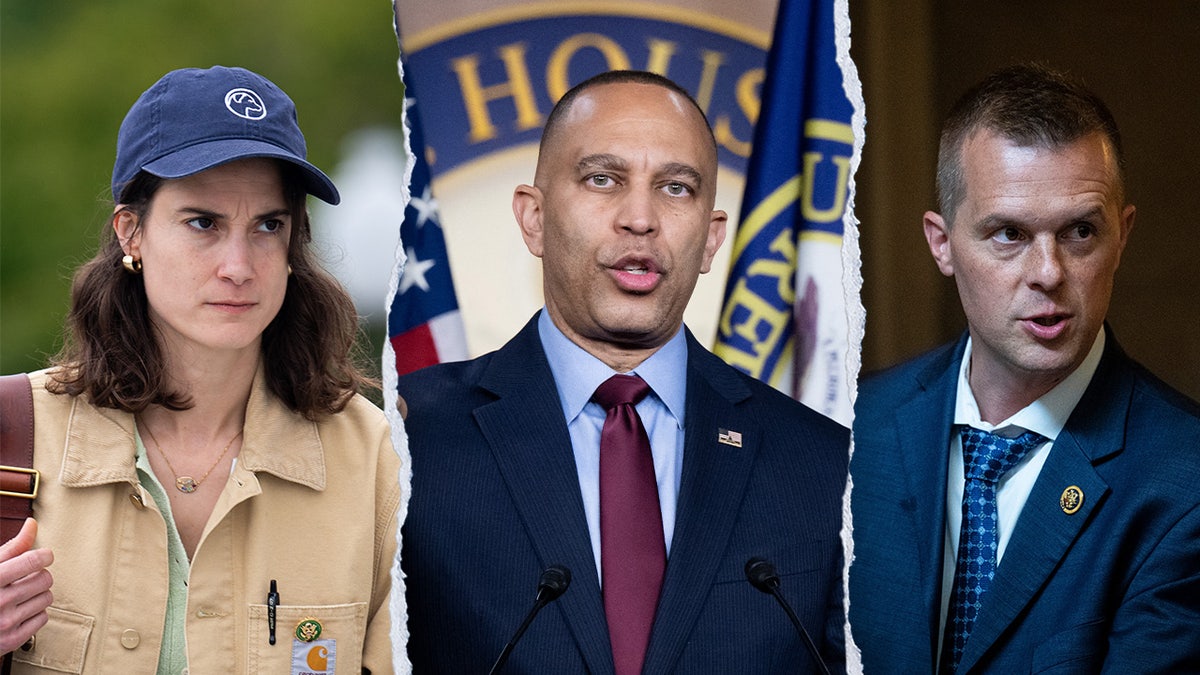 23 House Dems defy Jeffries, vote to rebuke progressive over controversial election move  at george magazine