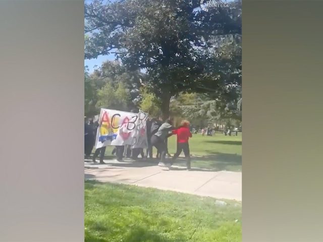 California woman charged with disrupting April Turning Point USA event on a college campus