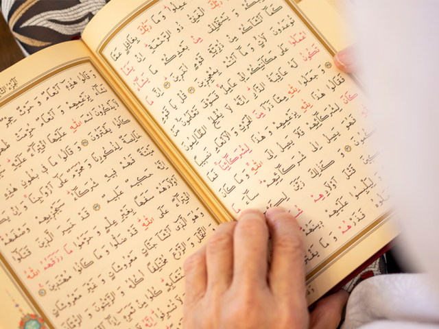 Anti-Islam protesters, Muslims clash in Dearborn, Michigan, after man attempts to burn Quran