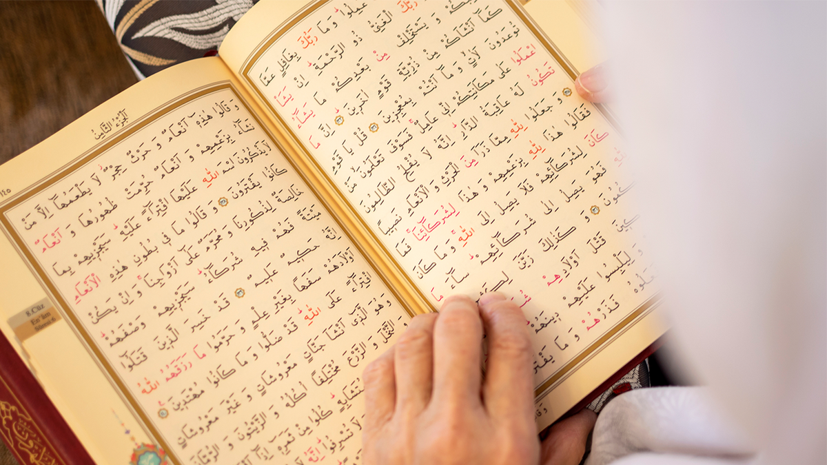 Anti-Islam protesters, Muslims clash in Dearborn, Michigan, after man attempts to burn Quran  at george magazine