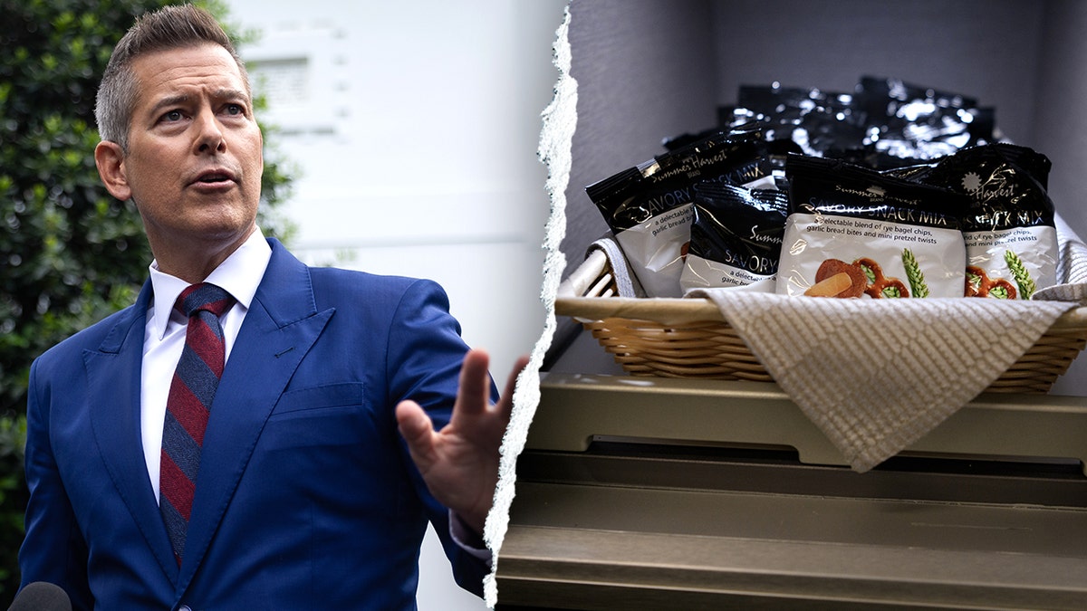 'Fattening' airplane snacks slammed by transportation secretary: 'Full of butter, sugar and crap' at george magazine