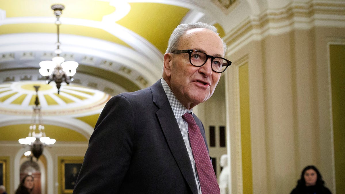 Senate Democrats eye exit from record-breaking shutdown as pressure intensifies at george magazine