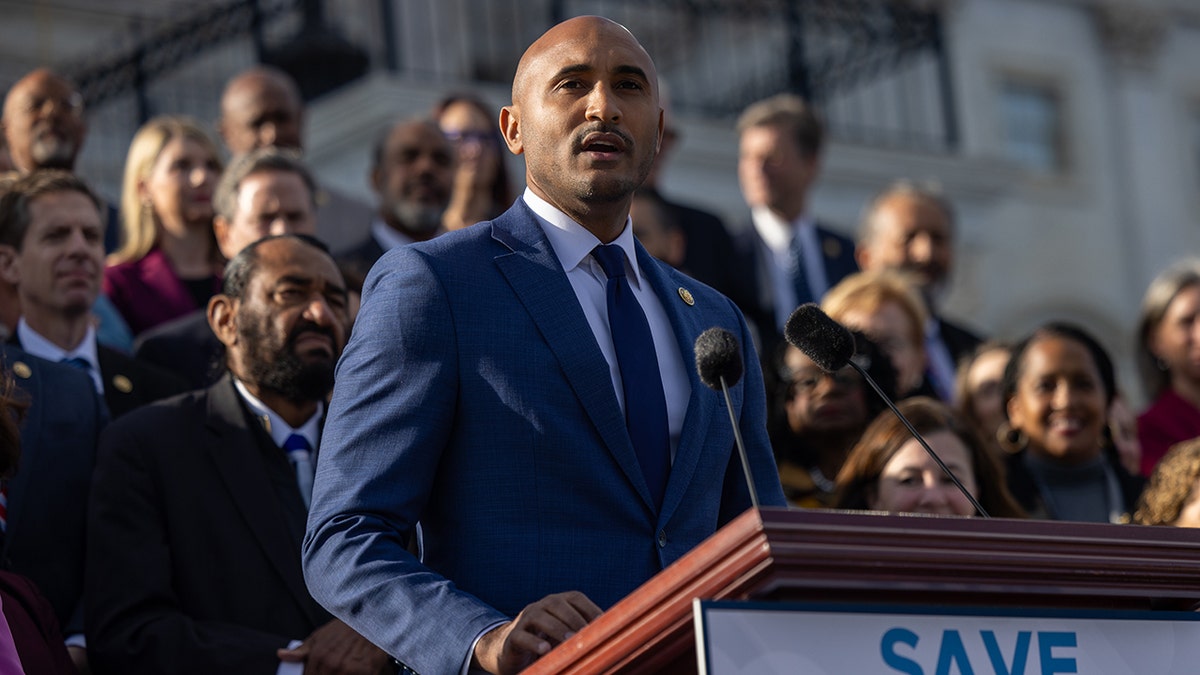 Dems say base is 'rightfully’ angry over their leaders caving to GOP during shutdown fight: 'Porch puppies' at george magazine