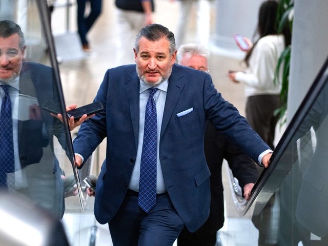 Cruz predicts Democrats will keep shutdown going to rally ‘radicals’ until after Election Day