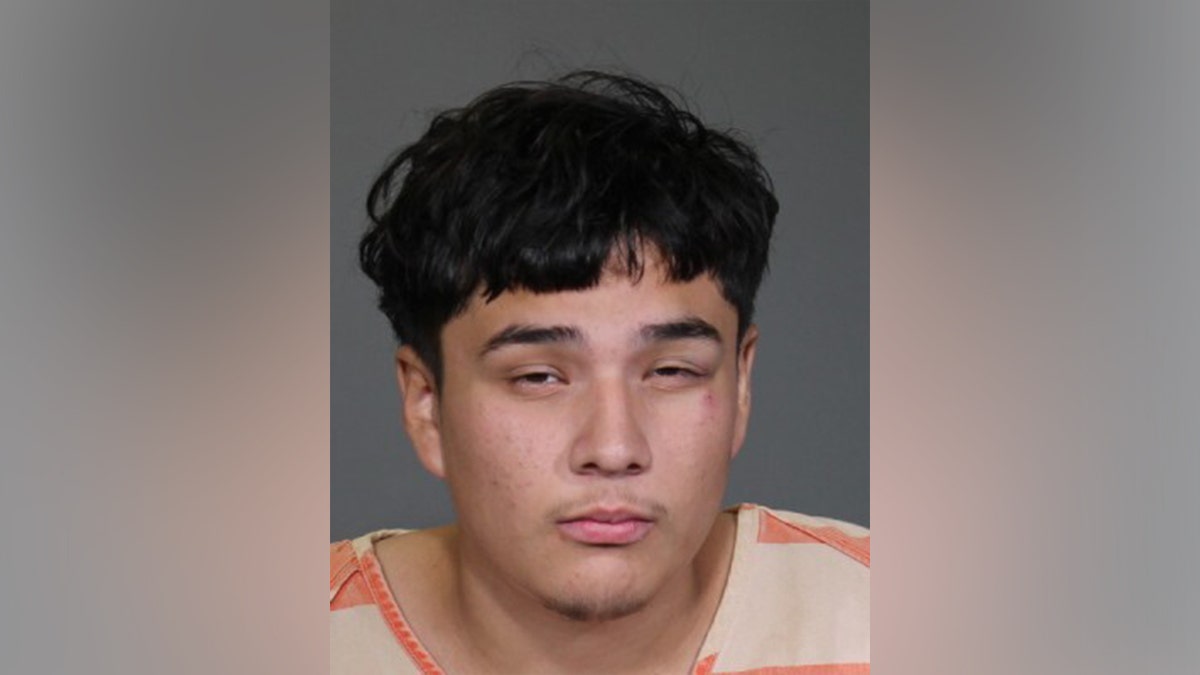 Illegal immigrant with rap sheet charged in hammer attack on woman jogging in park, released under Biden: DHS at george magazine