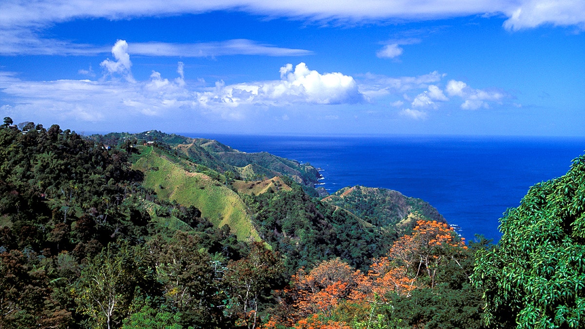 American tourist found stabbed to death in Tobago at george magazine