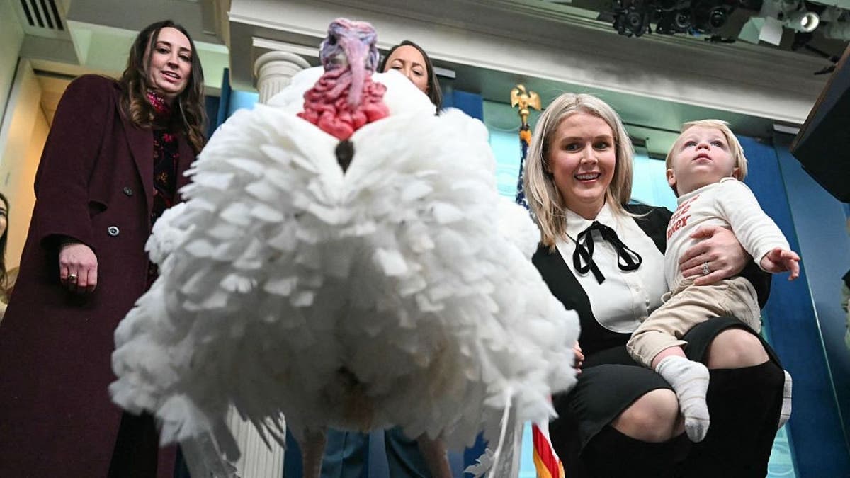 'Waddle' the turkey faces press questions in White House briefing room ahead of presidential pardon  at george magazine