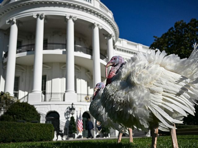 Fox News Poll: Holiday togetherness tops political differences