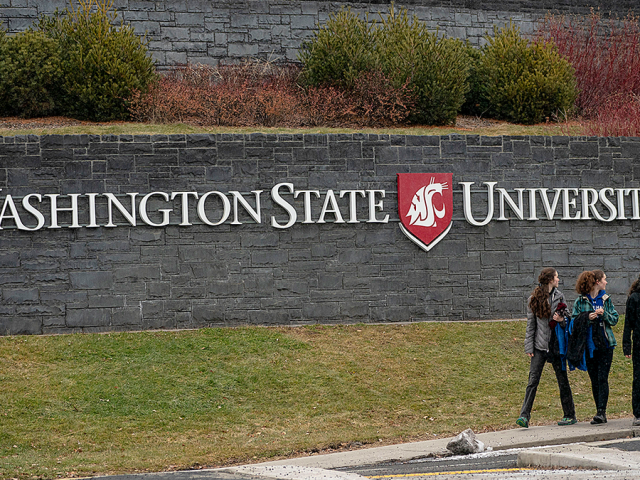 Washington State University suspends course examining evidence for gender medicine after activist complaints
