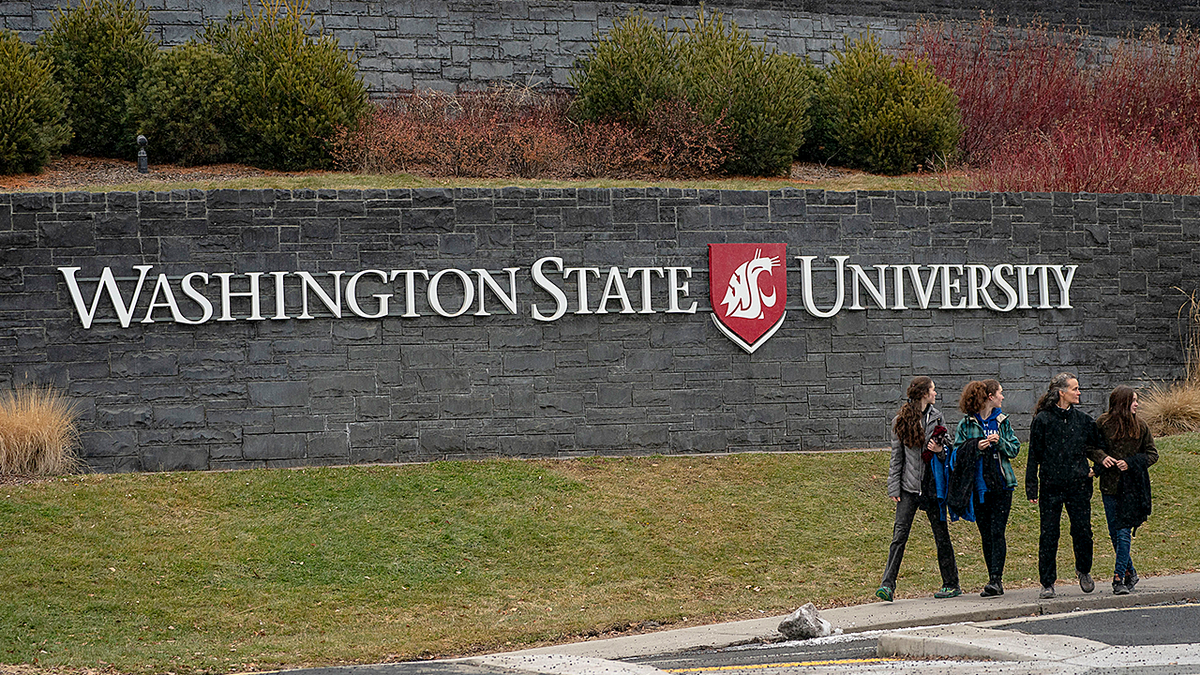 Washington State University suspends course examining evidence for gender medicine after activist complaints at george magazine