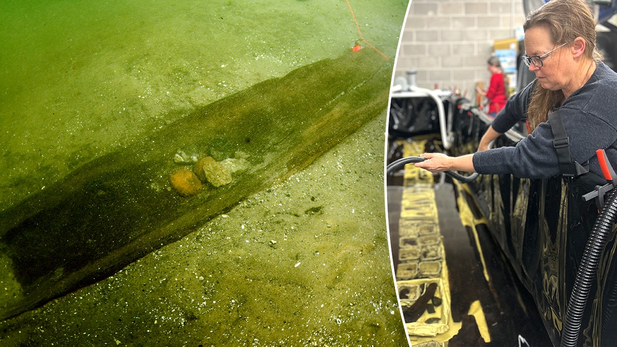 Wisconsin divers reveal mysterious underwater parking lot of ancient canoes preserved for millennia  at george magazine