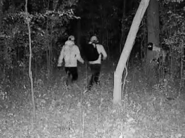 Masked thieves in South American crime ring loot American homes in coordinated pattern, police warn