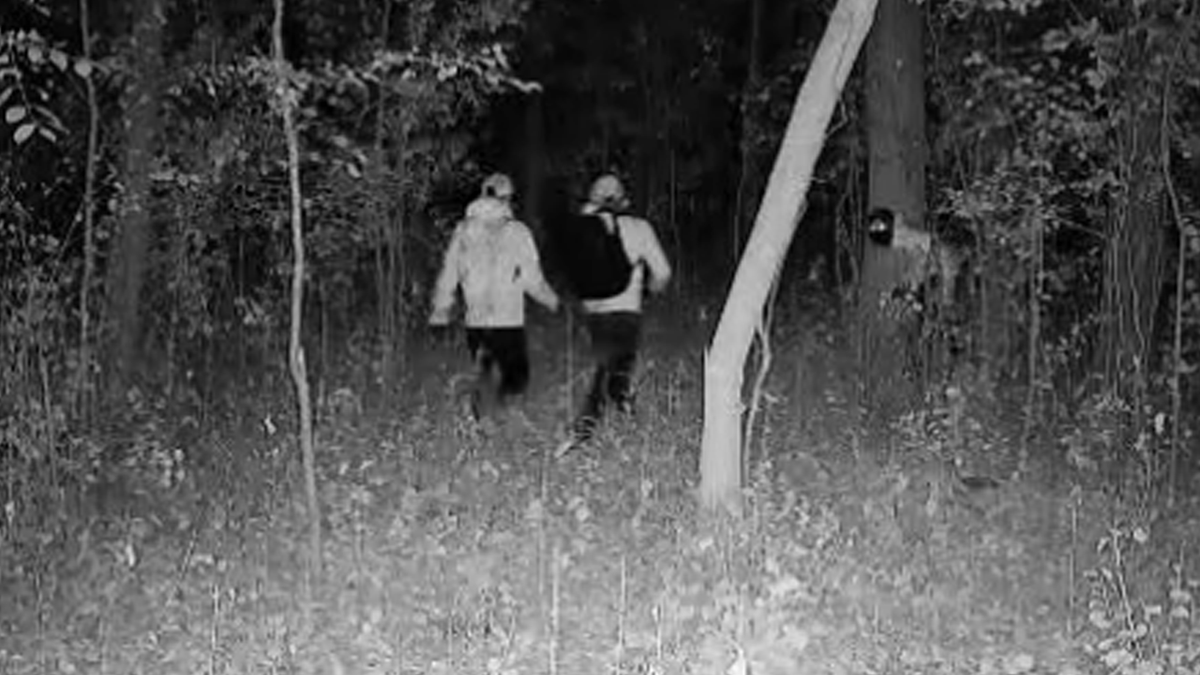 Masked thieves in South American crime ring loot American homes in coordinated pattern, police warn  at george magazine