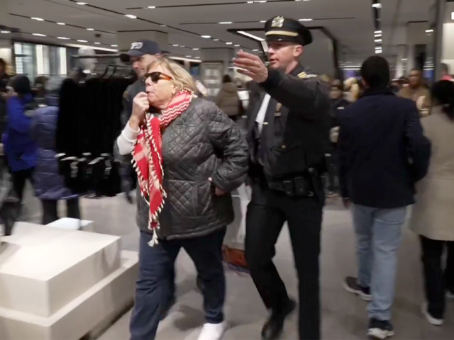 Pro-Palestinian agitators storm popular fashion store in Manhattan on Black Friday, 4 arrested: NYPD