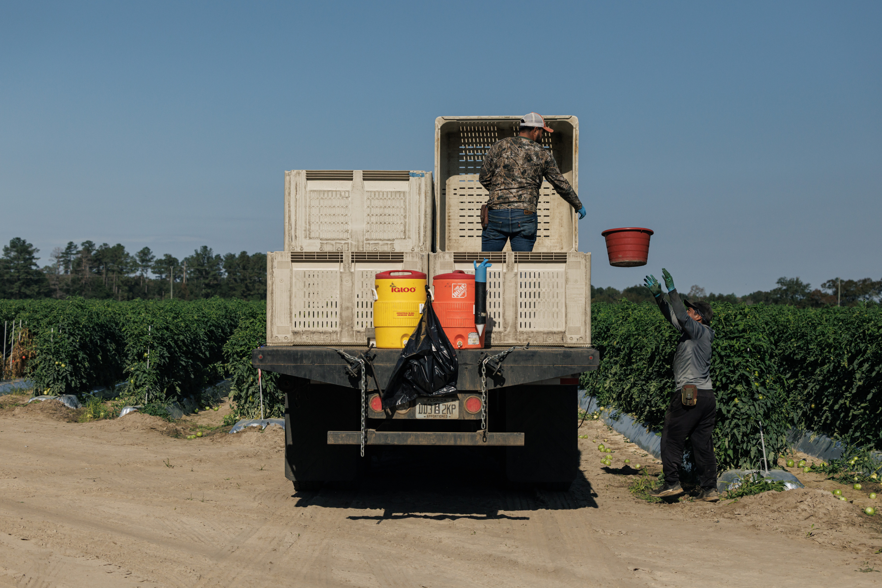 Farmworkers Are Frequently Exploited. But Few Farms Participate in a Program That Experts Say Could Prevent Abuse. at george magazine