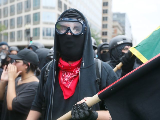 Foreign terror labels curb ISIS, but US radicals face fewer limits online, study finds