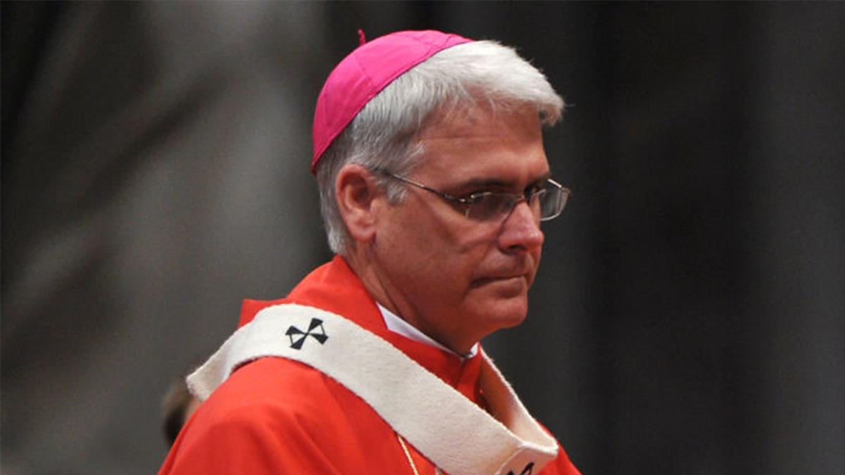 US Catholic bishops president says deportations instilling 'fear' in 'widespread manner': 'Concerns us all' at george magazine