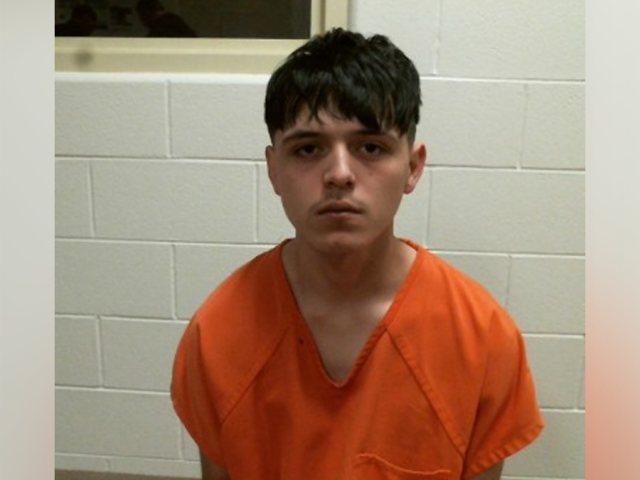 Illegal immigrant allegedly driving drunk at extreme speed killed woman in violent crash: DHS