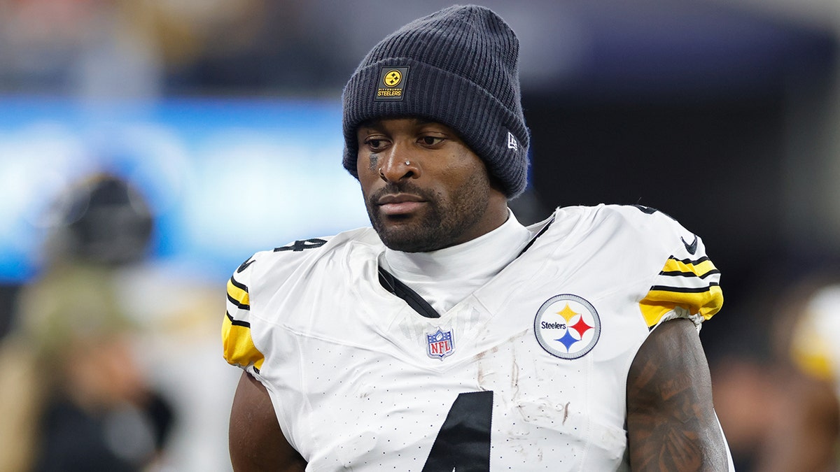 Lions fan involved in altercation with Steelers star denies using racial slurs at george magazine