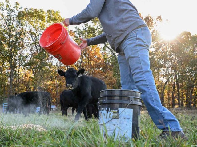 White Farmers Are Getting a Taste of Their Own Medicine