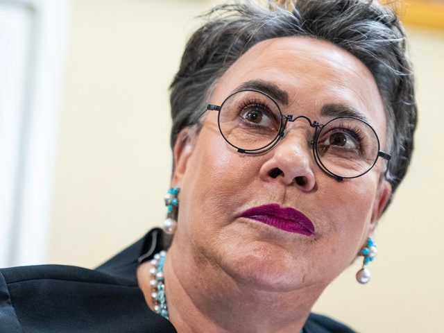 Republicans divided over whether to salvage Obamacare — or replace it — ahead of subsidy deadline