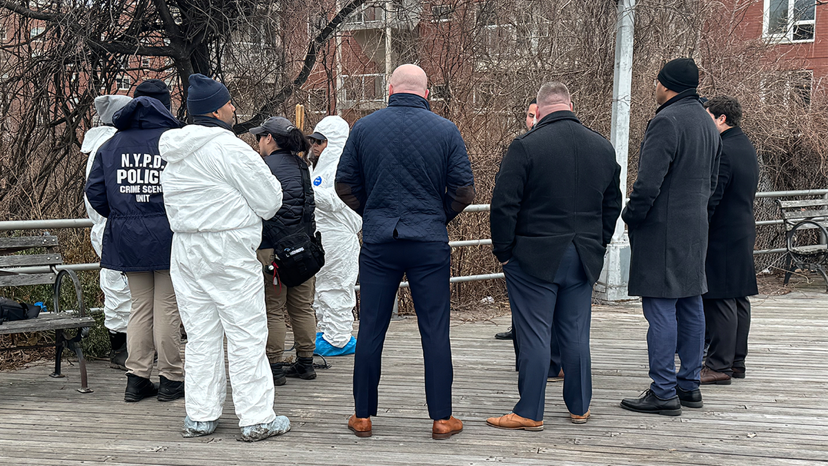Human skull, other remains found in bushes by Brooklyn's Coney Island as investigators work to unravel mystery at george magazine