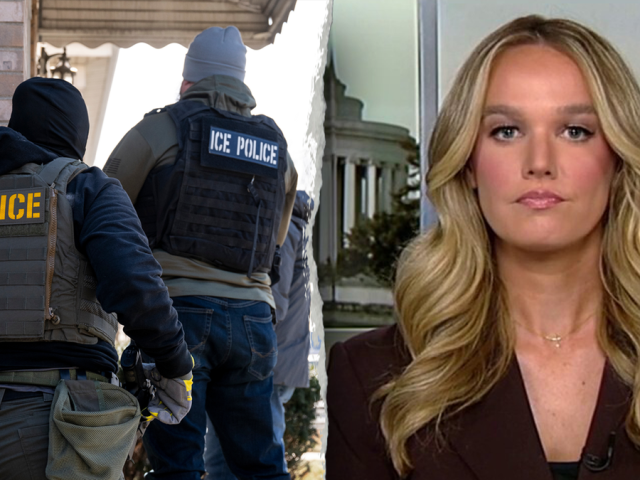 New Jersey twins charged in threats to kill DHS official, ‘shoot ICE on sight’