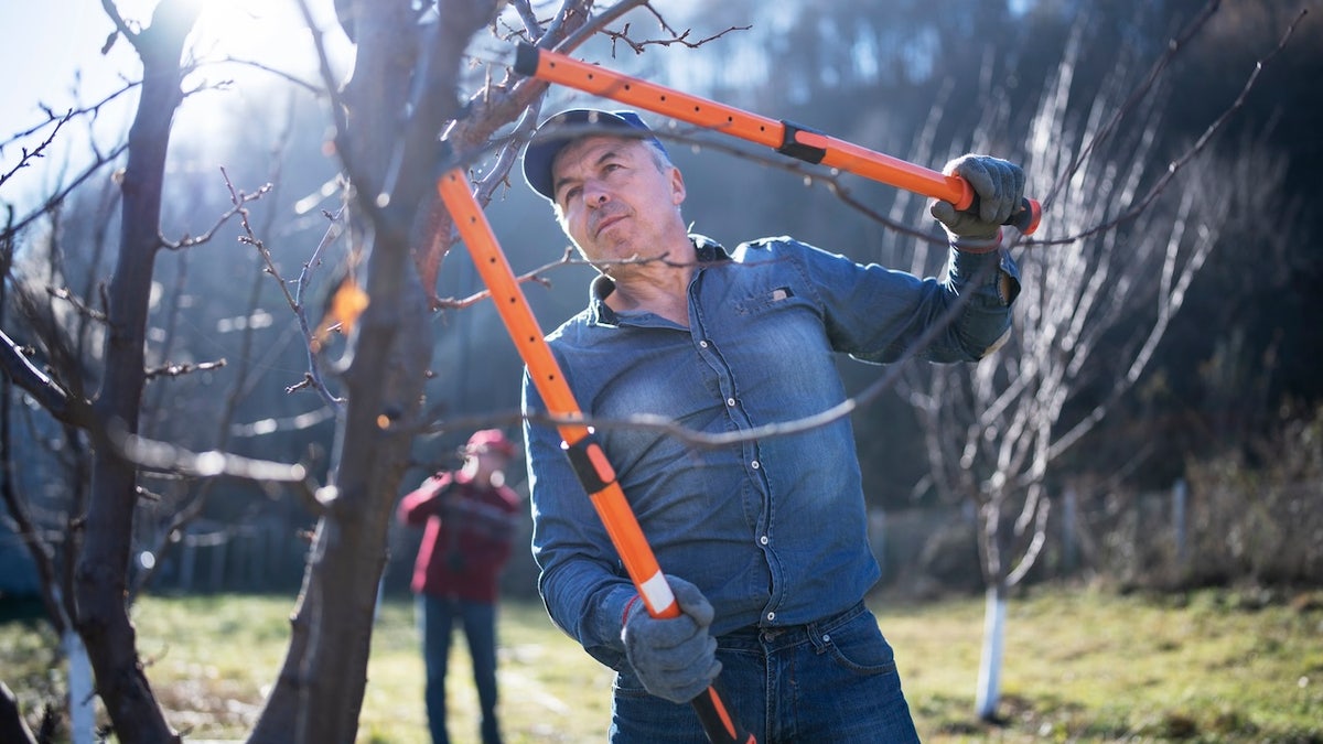 Must-have winter yard tools: Chainsaws, snow blowers and pet-safe ice melts at george magazine