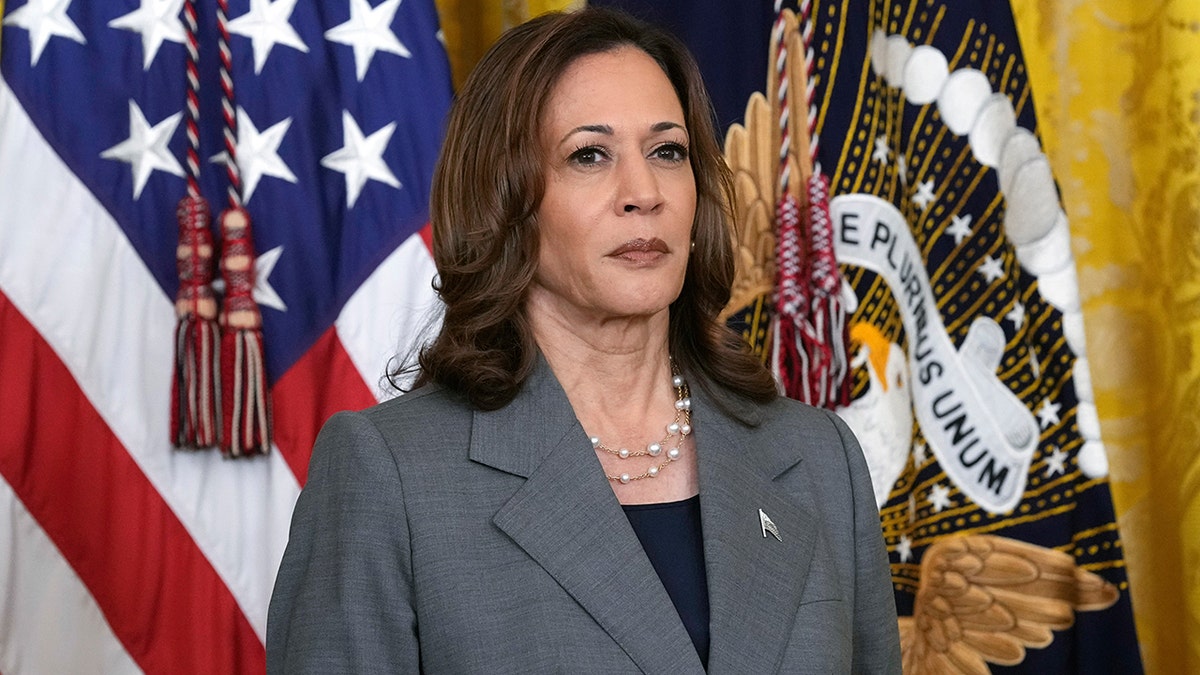 Kamala Harris says she 'needed more support' from the Biden administration during her 2024 campaign at george magazine