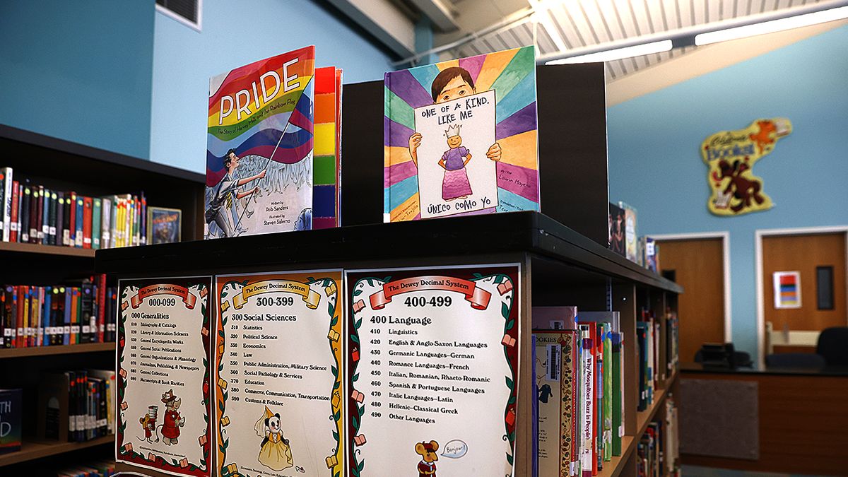Massachusetts lawmakers push new rules that limit ability to challenge explicit library books, critics say at george magazine
