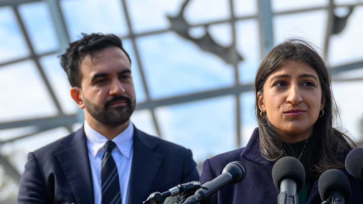 Top Mamdani appointee faces heat amid promise to make NYC more affordable: 'Embodiment of inflation'  at george magazine